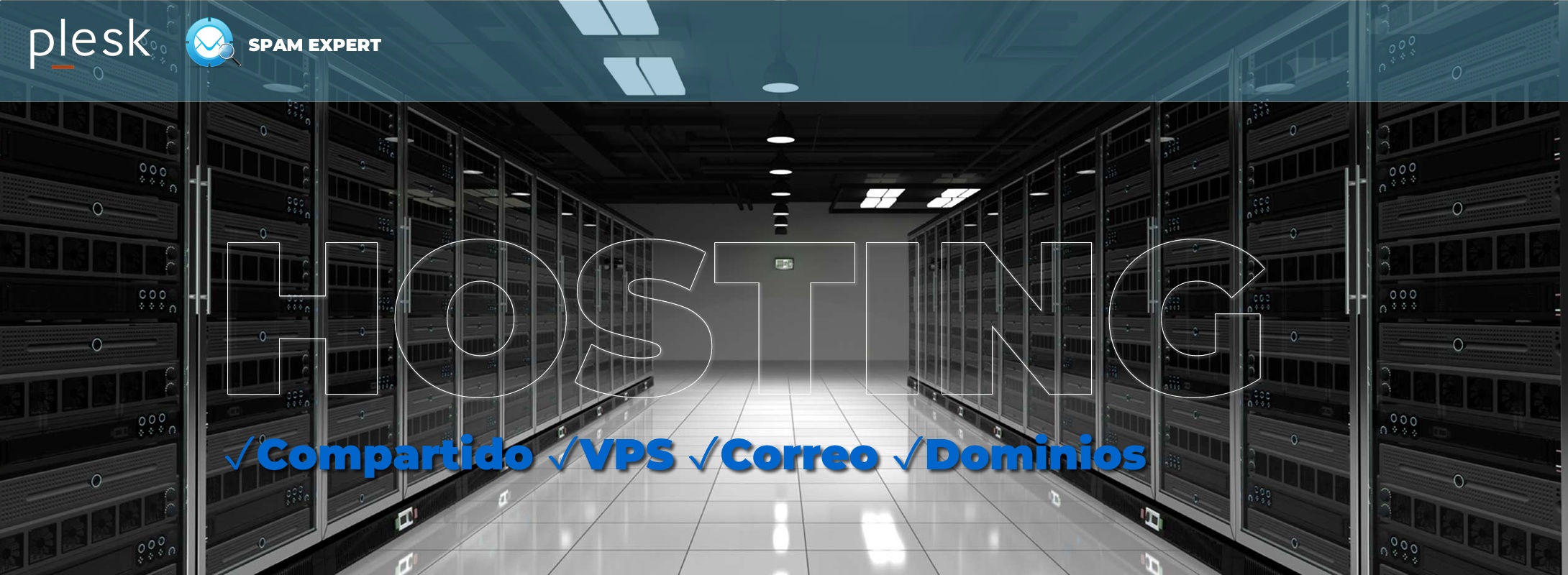 Hosting profesional. Alojamiento Web