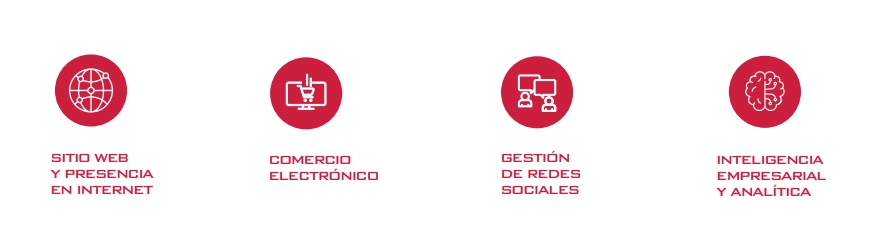 Categoría de soluciones